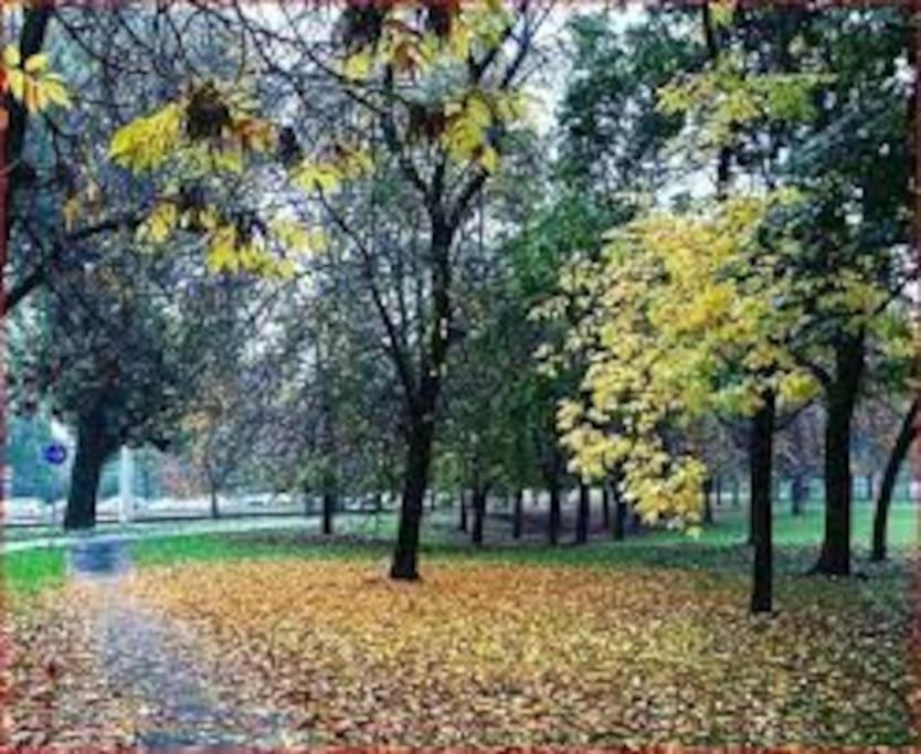 Affori Residence Mediolan Zewnętrze zdjęcie